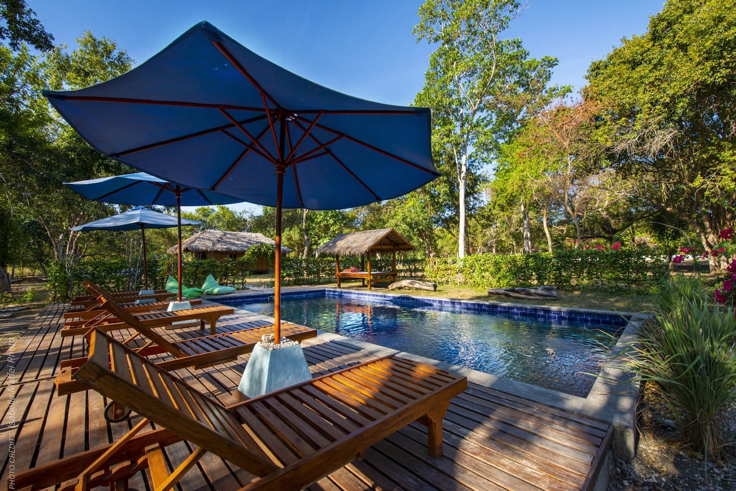 moyo island resort pool